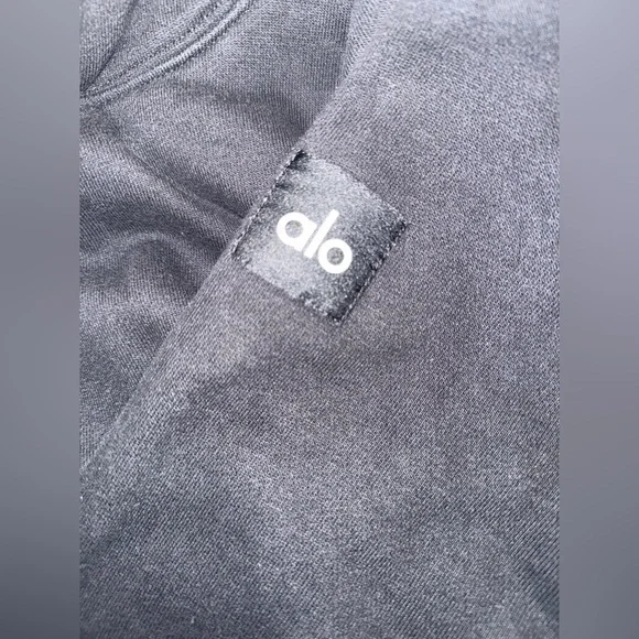 255.  Alo Renown Heavy Weight Hoodie - Picture 13 of 14